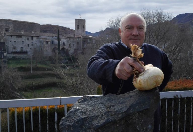 pUET I PREVISION DE LA CEBA