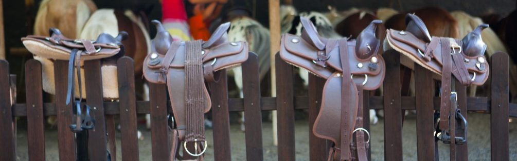 ruta a cavall per la garrotxa