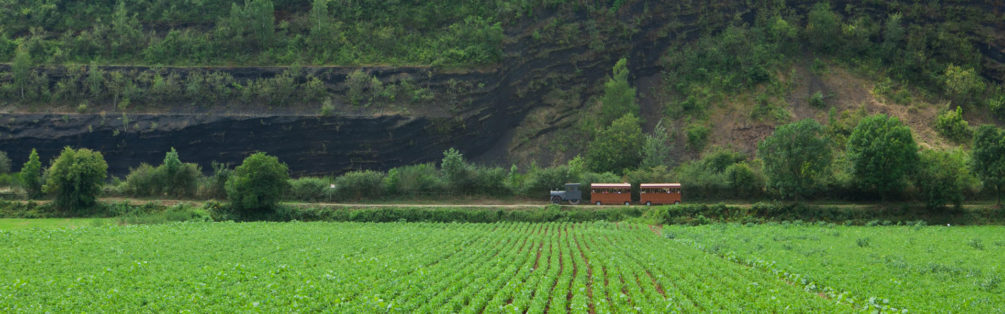 el trenet dels volcans